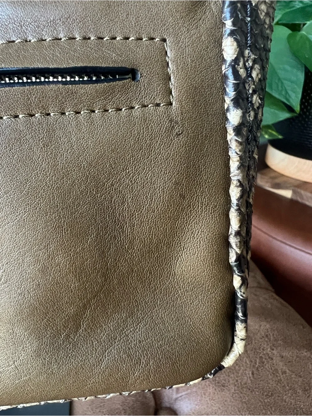 Coach satchel olive